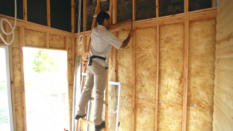 Best Basement Insulation  in Hillsboro, OH