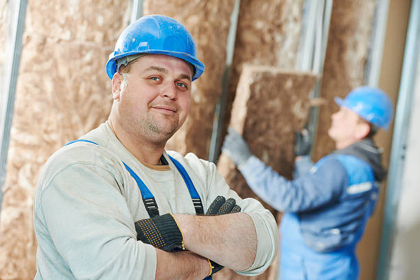 Best Eco-Friendly or Green Insulation Solutions  in Hillsboro, OH